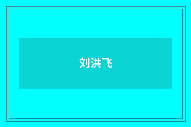 刘洪飞品牌