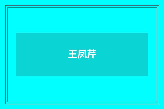 王凤芹