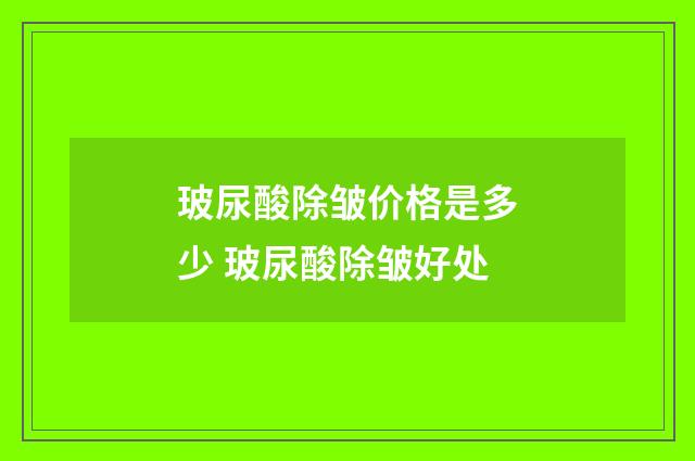 玻尿酸除皱价格是多少 玻尿酸除皱好处