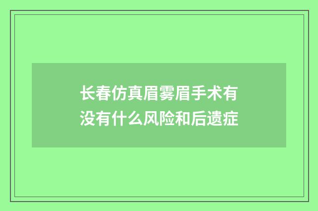 长春仿真眉雾眉手术有没有什么风险和后遗症