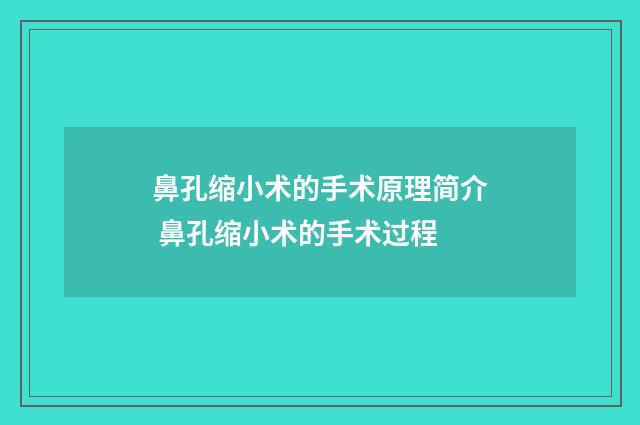鼻孔缩小术的手术原理简介 鼻孔缩小术的手术过程