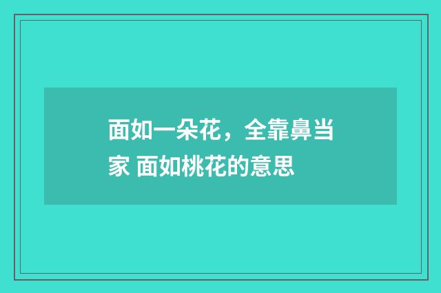 面如一朵花，全靠鼻当家 面如桃花的意思