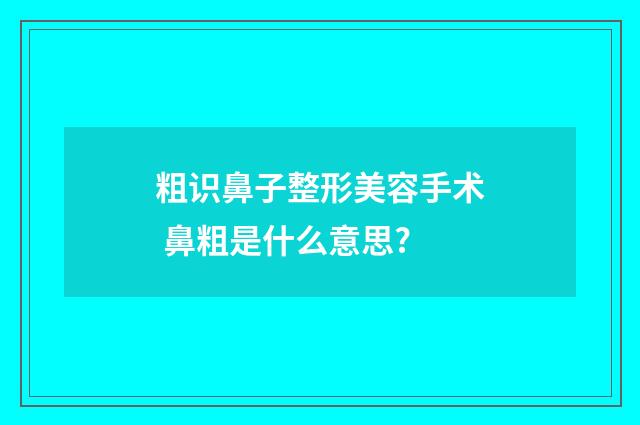粗识鼻子整形美容手术 鼻粗是什么意思?