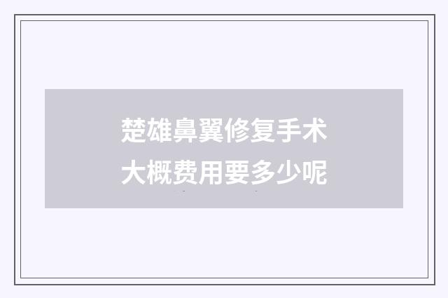 楚雄鼻翼修复手术大概费用要多少呢