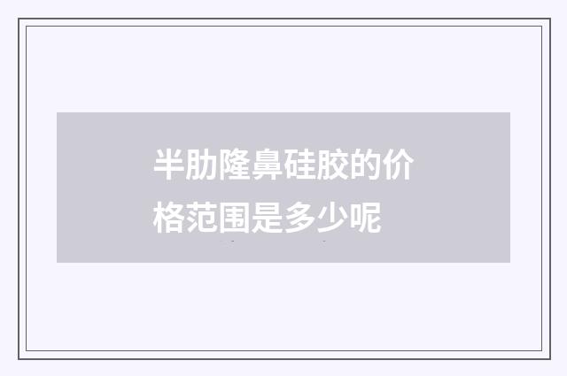 半肋隆鼻硅胶的价格范围是多少呢