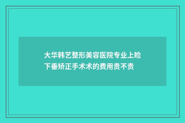 大华韩艺整形美容医院专业上睑下垂矫正手术术的费用贵不贵