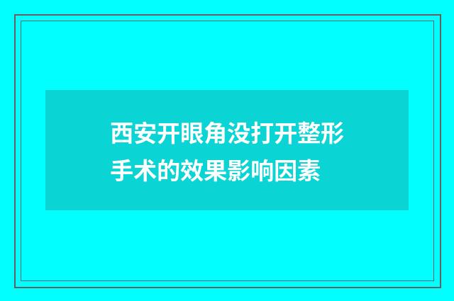 西安开眼角没打开整形手术的效果影响因素