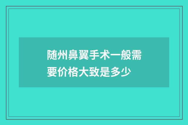 随州鼻翼手术一般需要价格大致是多少
