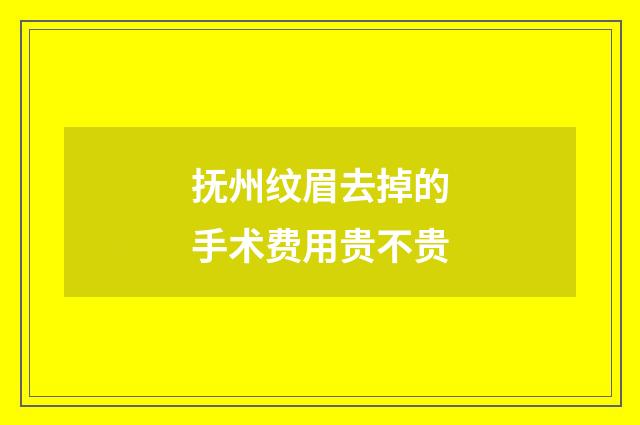 抚州纹眉去掉的手术费用贵不贵