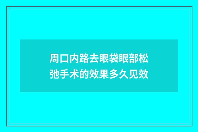 周口内路去眼袋眼部松弛手术的效果多久见效