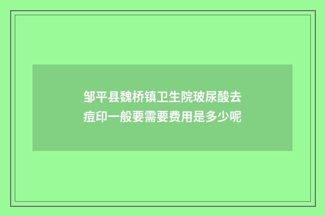 邹平县魏桥镇卫生院玻尿酸去痘印一般要需要费用是多少呢