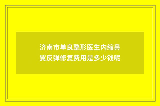 济南市单良整形医生内缩鼻翼反弹修复费用是多少钱呢