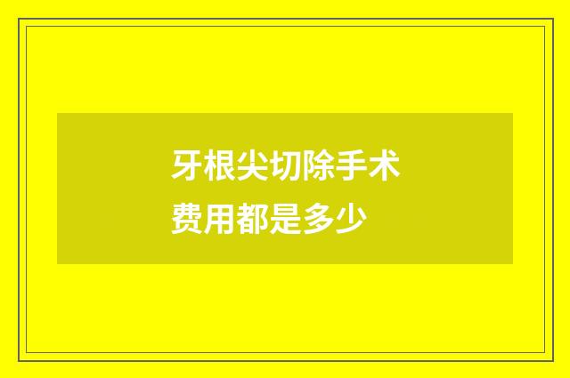 牙根尖切除手术费用都是多少
