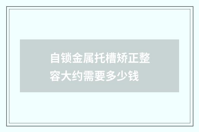 自锁金属托槽矫正整容大约需要多少钱