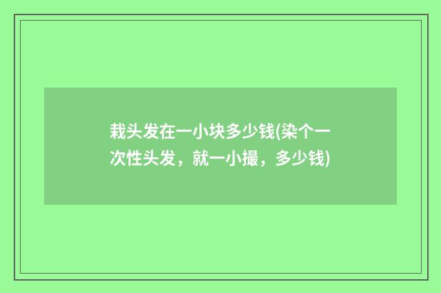 栽头发在一小块多少钱(染个一次性头发，就一小撮，多少钱)