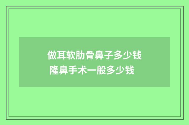 做耳软肋骨鼻子多少钱 隆鼻手术一般多少钱