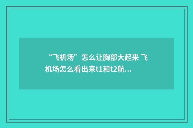 “飞机场”怎么让胸部大起来 飞机场怎么看出来t1和t2航站楼