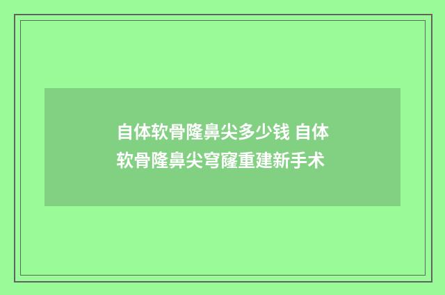 自体软骨隆鼻尖多少钱 自体软骨隆鼻尖穹窿重建新手术
