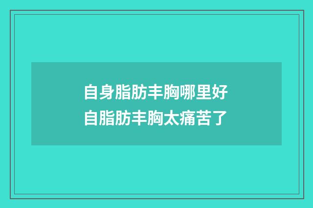 自身脂肪丰胸哪里好 自脂肪丰胸太痛苦了