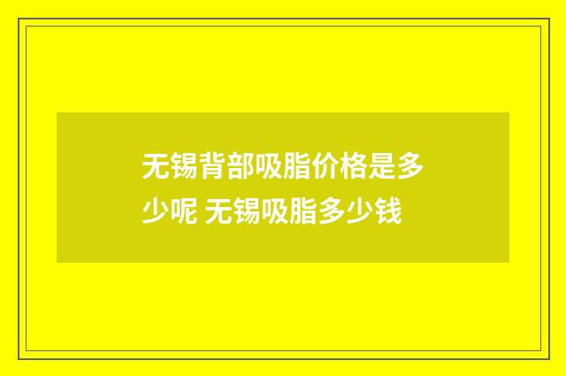 无锡背部吸脂价格是多少呢 无锡吸脂多少钱