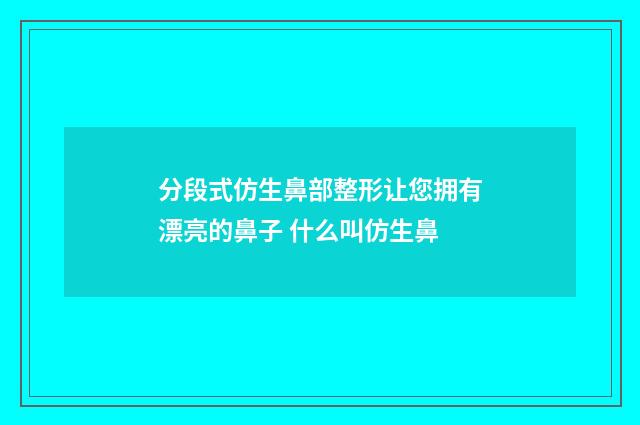 分段式仿生鼻部整形让您拥有漂亮的鼻子 什么叫仿生鼻