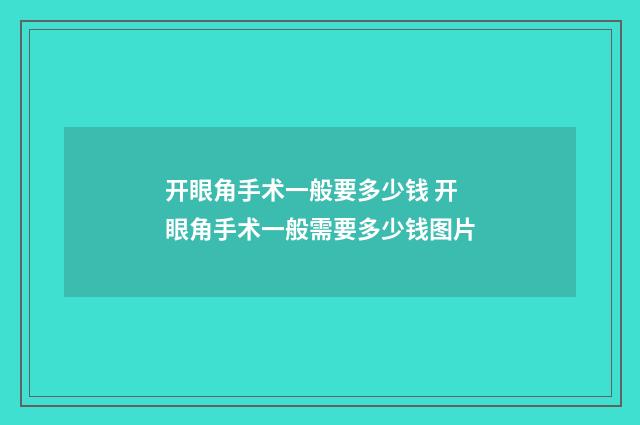 开眼角手术一般要多少钱 开眼角手术一般需要多少钱图片