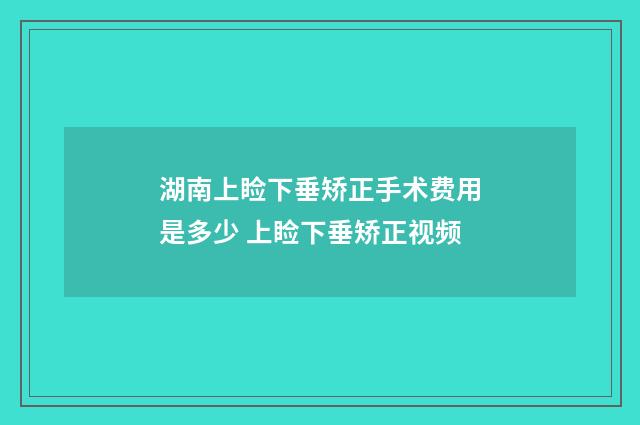 湖南上睑下垂矫正手术费用是多少 上睑下垂矫正视频