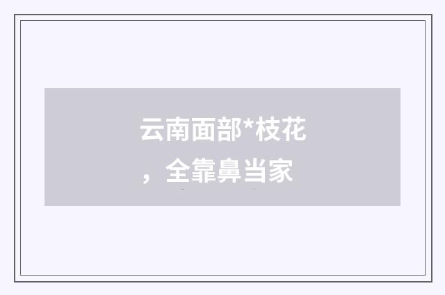 云南面部*枝花，全靠鼻当家
