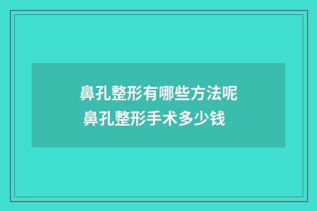 鼻孔整形有哪些方法呢 鼻孔整形手术多少钱