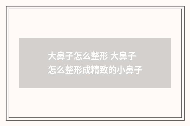 大鼻子怎么整形 大鼻子怎么整形成精致的小鼻子