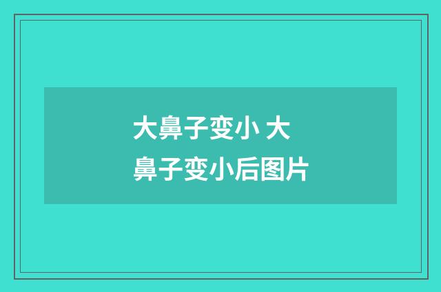 大鼻子变小 大鼻子变小后图片