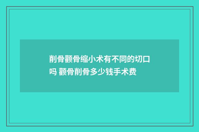 削骨颧骨缩小术有不同的切口吗 颧骨削骨多少钱手术费