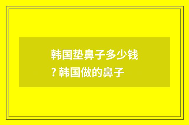 韩国垫鼻子多少钱? 韩国做的鼻子