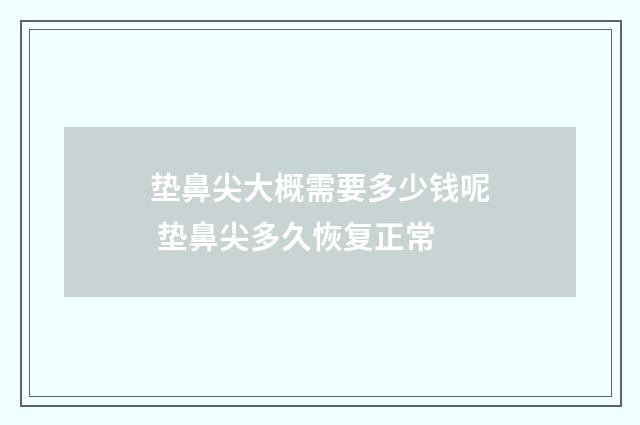 垫鼻尖大概需要多少钱呢 垫鼻尖多久恢复正常