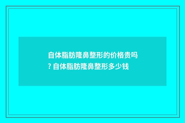 自体脂肪隆鼻整形的价格贵吗? 自体脂肪隆鼻整形多少钱