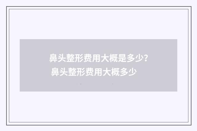 鼻头整形费用大概是多少？ 鼻头整形费用大概多少