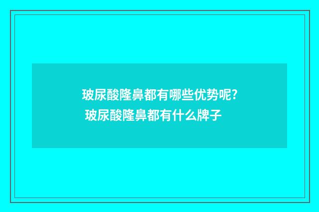玻尿酸隆鼻都有哪些优势呢? 玻尿酸隆鼻都有什么牌子