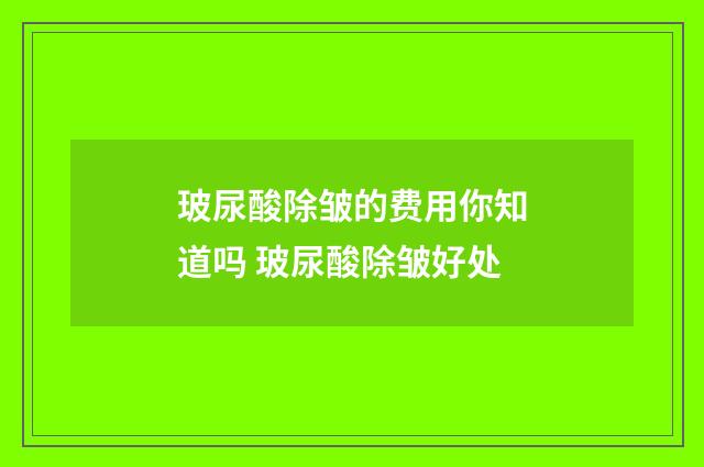 玻尿酸除皱的费用你知道吗 玻尿酸除皱好处