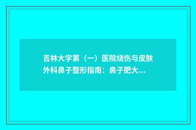 吉林大学第（一）医院烧伤与皮肤外科鼻子整形指南：鼻子肥大修复手术必备知识