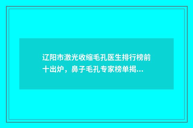 辽阳市激光收缩毛孔医生排行榜前十出炉，鼻子毛孔专家榜单揭晓