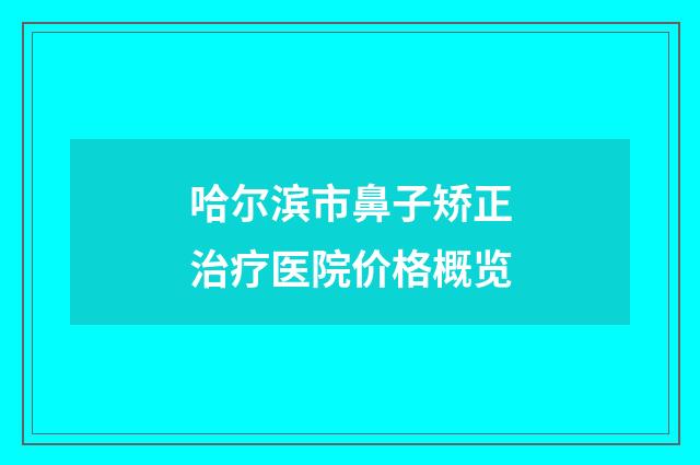 哈尔滨市鼻子矫正治疗医院价格概览