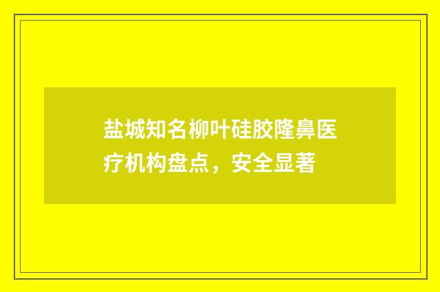 盐城知名柳叶硅胶隆鼻医疗机构盘点，安全显著