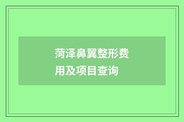 菏泽鼻翼整形费用及项目查询