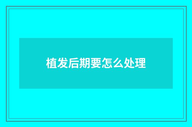 植发后期要怎么处理