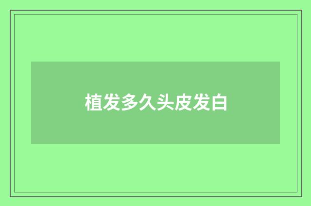 植发多久头皮发白