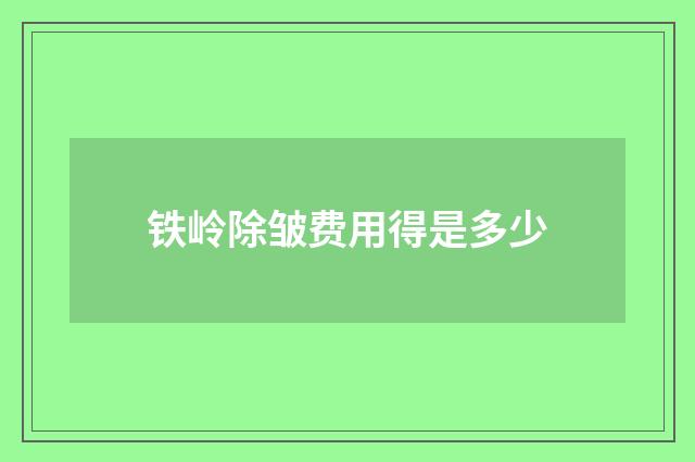 铁岭除皱费用得是多少